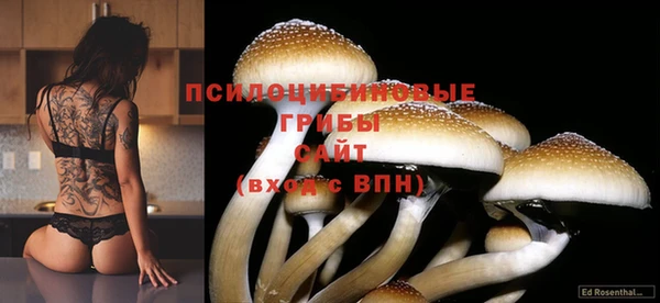 первитин Киренск