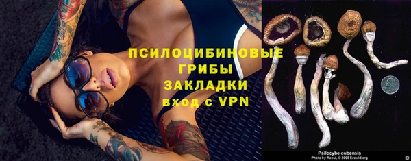 первитин Киренск