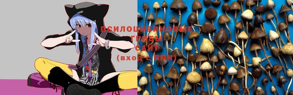 дживик Сосновоборск