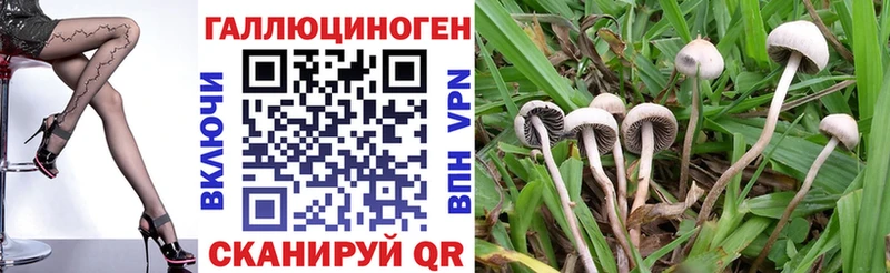 Галлюциногенные грибы MAGIC MUSHROOMS Купить где Вилючинск